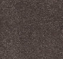 Ковролин AW Vivendi Punch 44 фото 1 | FLOORDEALER